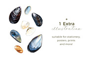 Hand-painted Seashells | 7 cliparts, an Illustration by Miriam Figueras (Thumbnail 3 of 3)