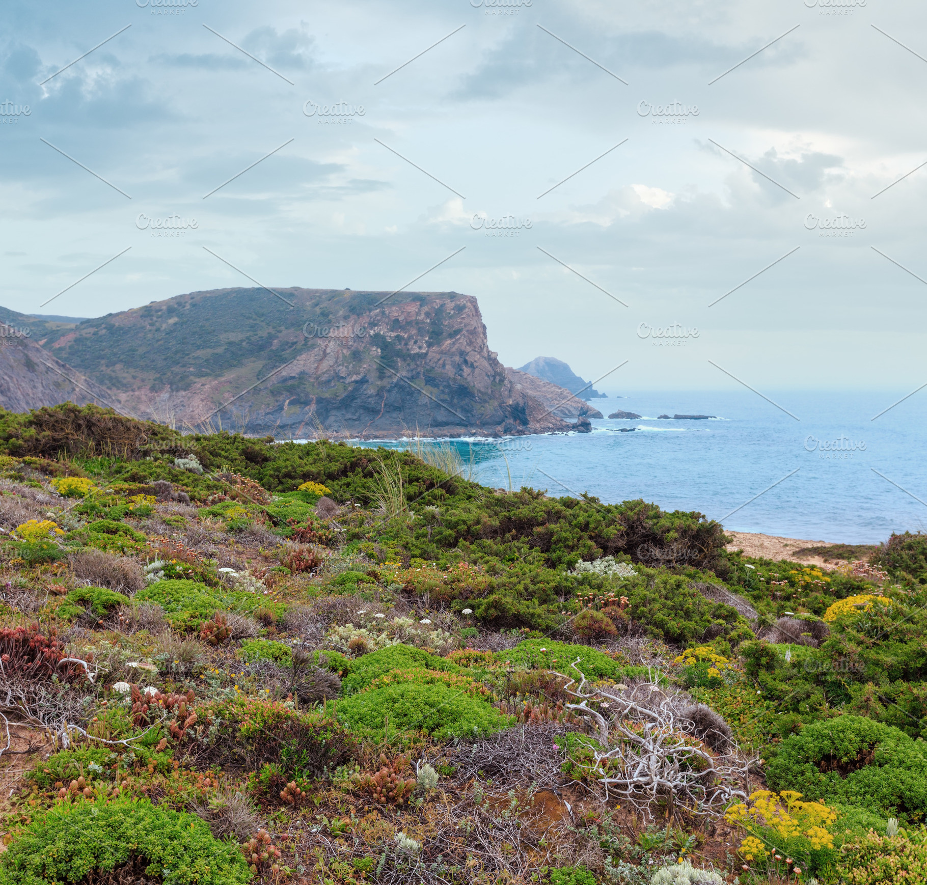 Summer Atlantic coast (Algarve, Portugal)., a Nature Photo by YuriyB