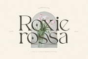 Roxie rossa, a Serif Font by ToniStudio (Thumbnail 1 of 10)