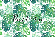 Tropical. Watercolor patterns., a Pattern Graphic by Anyuka (Thumbnail 6 of 10)
