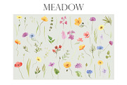Watercolor meadow, an Illustration by Love Watercolor Store (Thumbnail 2 of 7)