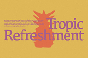 Harlowe – Natural Display Serif Font, a Serif Font by ethylene.creative (Thumbnail 5 of 9)