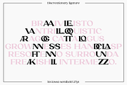 Laviossa Modern Serif Typeface, a Font by Jehoo Creative (Thumbnail 5 of 10)