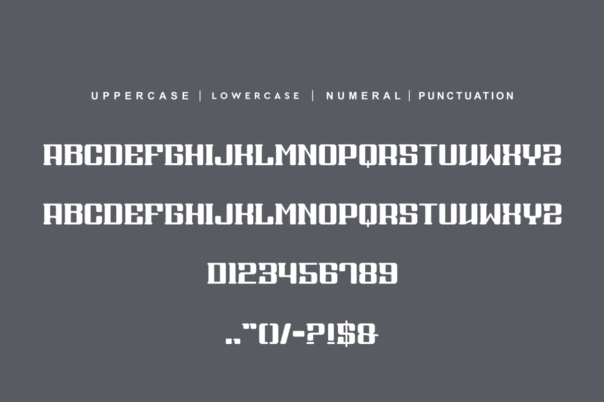 Goleri Sloper, a Serif Font by alon kelakon (Photo 5 of 6)