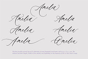Autumn Melody // Wedding Calligraphy, a Script Font by PeachCreme (Thumbnail 8 of 20)