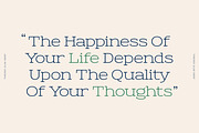 Theoris Slab Serif Font, a Slab Serif Font by Genetype (Thumbnail 5 of 8)