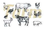 Farm animals and products., an Object Graphic by MarinaVorontsova (Thumbnail 2 of 7)