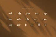 Cikon Luxury Fashion Serif Font, a Serif Font by Graphicxell (Thumbnail 8 of 8)