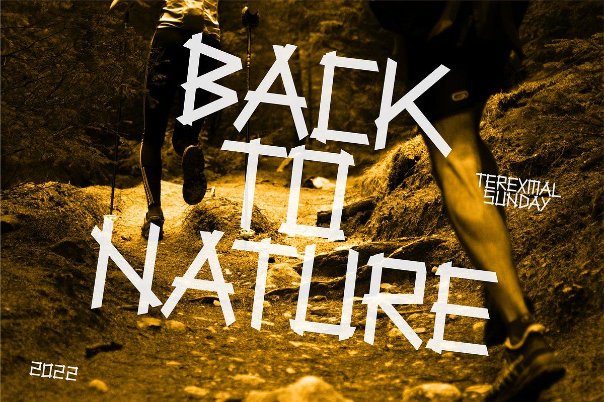 Terexmal Sunday, a Font by limitype (Photo 16 of 18)