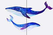 Sea Life. Watercolor set, an Animal Illustration by Librebird (Thumbnail 5 of 6)