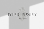 Ligature Font BUNDLE, a Serif Font by BrandSemut (Thumbnail 33 of 70)