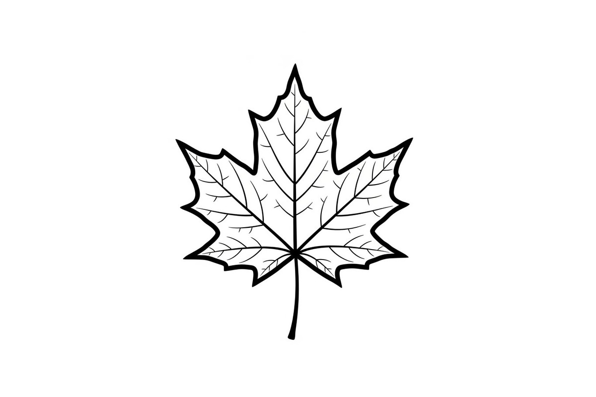 Maple Leaf Silhouette Bundle, a Graphic by musafir_fashion (Photo 10 of 10)