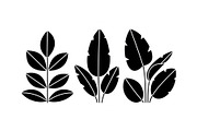Minimal Botanical Leaf Silhouette Bu, an Illustration by Creativeshirt (Thumbnail 35 of 51)