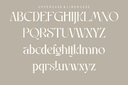 Raniosa, a Serif Font by Kenrichi (Thumbnail 4 of 10)