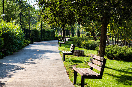 Famous Tbilisi park Mziuri, a Nature Photo by Anna Bogush
