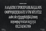 Bemore Serif Font, a Serif Font by Asenbayu (Thumbnail 6 of 13)