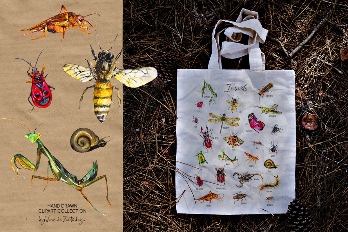 Insects and bugs watercolor clipart, an Object Graphic by ArtSpotVeronika (Photo 3 of 11)