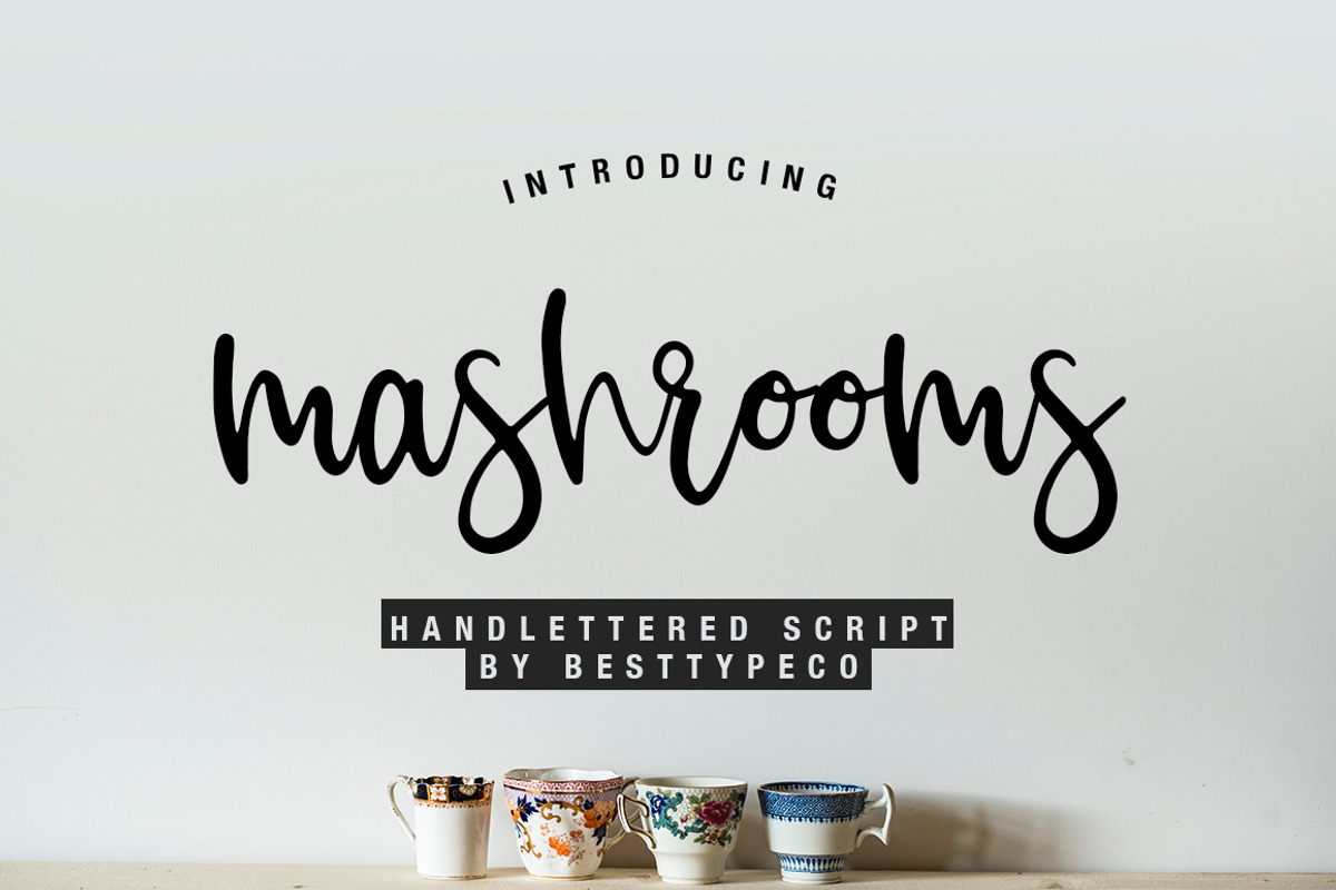 Mashroom, a Handwritten Font by Besttypeco (Photo 1 of 8)