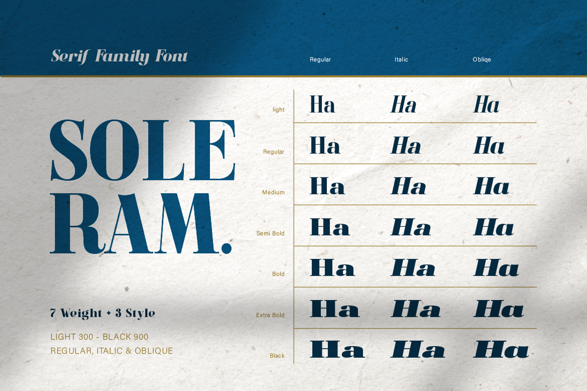 Soleram - 3 Style with 7 Weight Font, a Serif Font by Burntilldead (Photo 3 of 13)