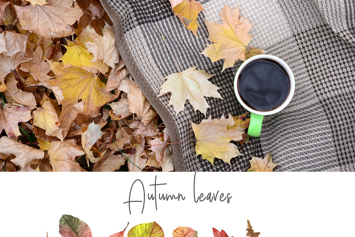 AUTUMN SEASON watercolor collection, a Seasonal Illustration by Julia Bogdan (Photo 8 of 11)