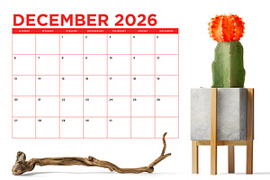 2026 Bold COLOR 8.5x11 Inch Calendar