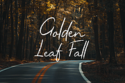 Casamia, a Script Font by Larin Type Co. (Thumbnail 2 of 5)