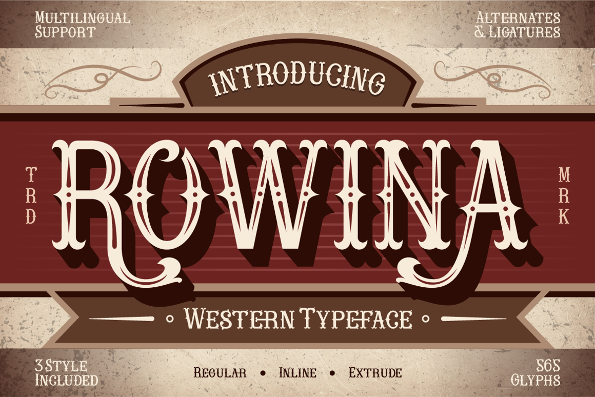 Rowina, a Serif Font by Burntilldead (Photo 1 of 12)