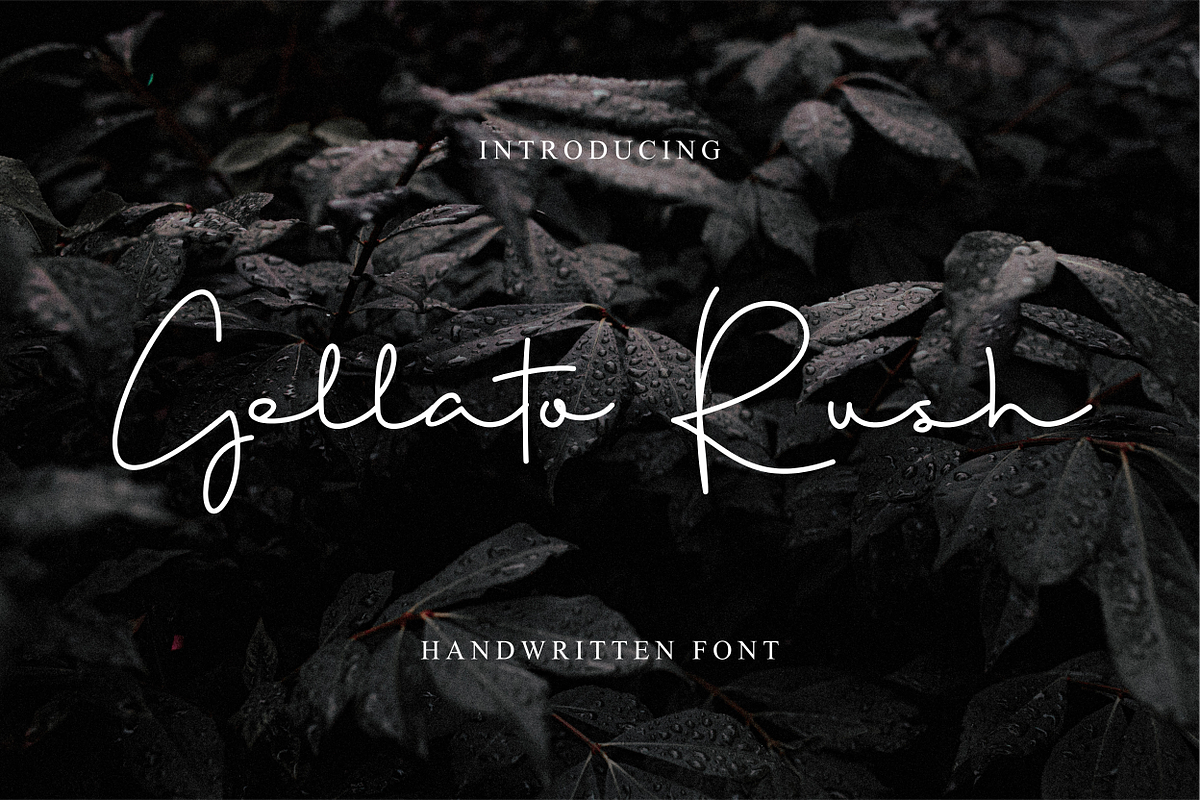 Gellato Rush, a Script Font by MenkType Studio (Photo 1 of 6)