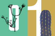 Plant Brushes v2, a Brush Add-On by envirographic (Thumbnail 3 of 5)