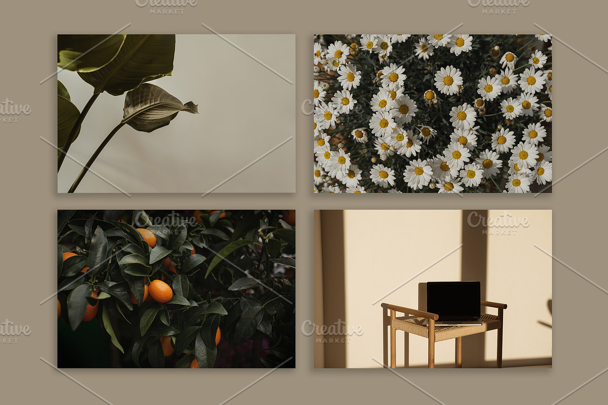 Lifestyle Essentials 8, a Beauty & Fashion Photo by Floral Deco (Photo 4 of 7)