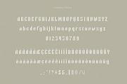 Aetherin Retro Modern Condensed Sans, a Sans Serif Font by BrandSemut (Thumbnail 7 of 8)