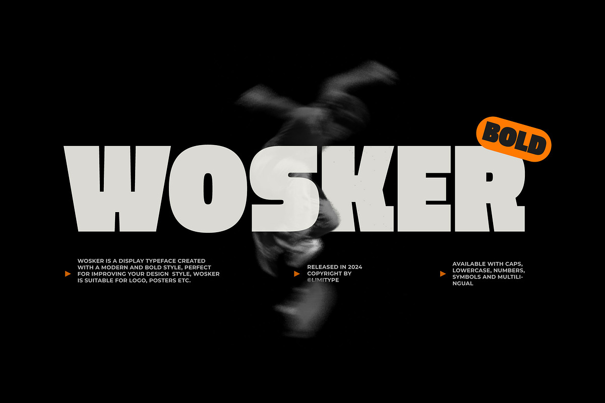 Wosker - Bold Font, a Sans Serif Font by limitype (Photo 1 of 10)