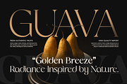 Galante Branding Luxury Font Family, a Serif Font by Sensatype (Thumbnail 11 of 21)