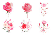 Rose Clipart Bundle Blush Flower, an Illustration by CreationArt (Thumbnail 4 of 6)