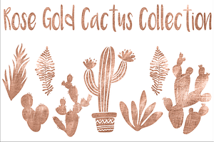 Rose Gold Cactus Collection