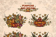 Pumpkins and Squash, a Seasonal Illustration by Ink Stories (Thumbnail 6 of 20)