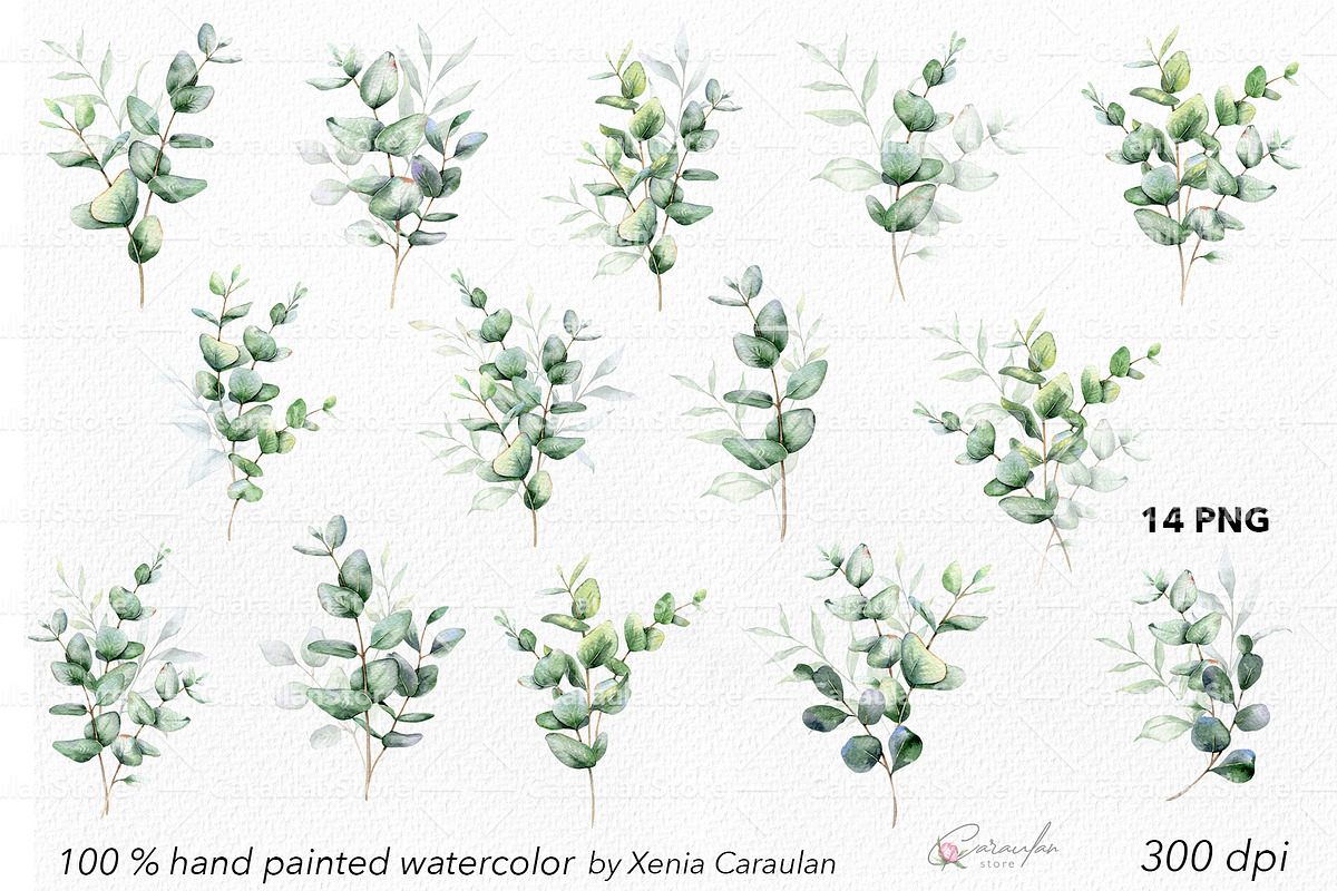 Eucalyptus Watercolor, an Object Illustration by CaraulanStore (Photo 2 of 19)