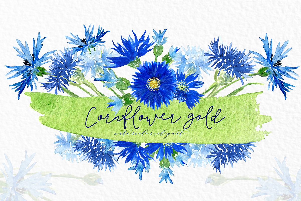 Cornflower gold. Watercolor clipart., an Illustration by LABFcreations (Photo 4 of 4)