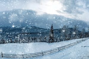 Snow falls on a winter landscape with trees and mountains in the, a Nature Photo by Byrdyak