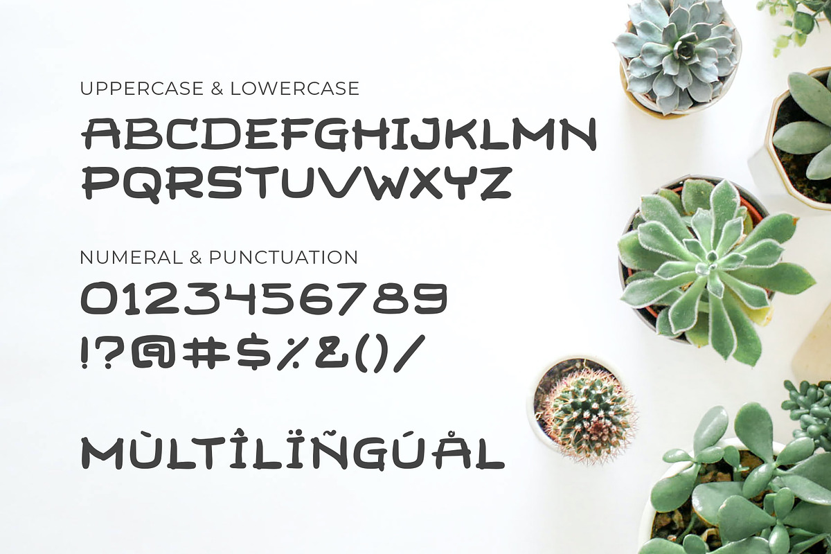 Remy Leaves Display Typeface, a Handwritten Font by Fikry Alfatih (Photo 6 of 7)