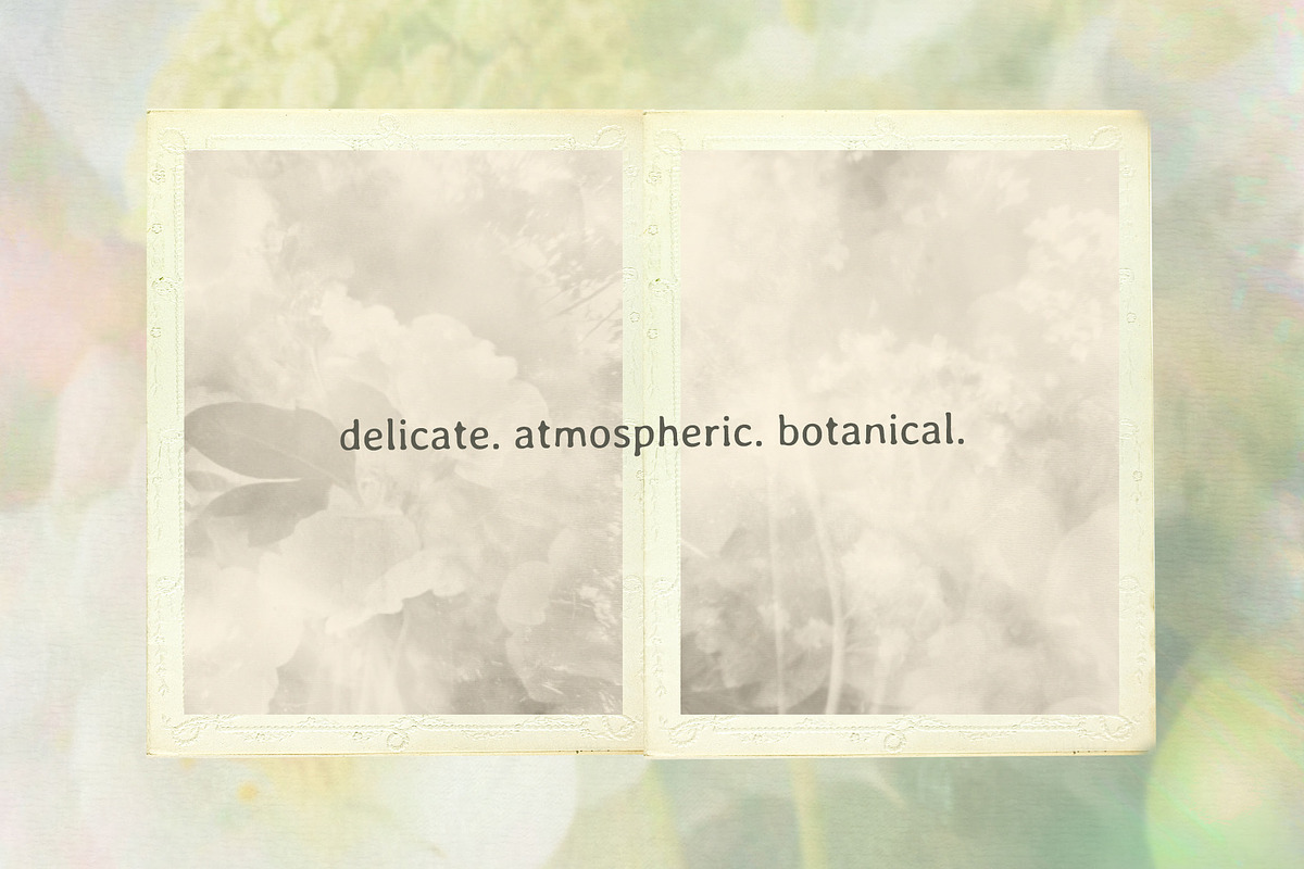 Botanica – Soft Floral Backgrounds, a Background Graphic by lerinartstudio (Photo 8 of 13)