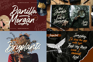 The Wonderful Collection Font Bundle