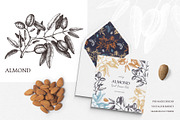 Hand-Drawn Nuts Sketches, a Food Illustration by Yevheniia (Thumbnail 3 of 12)