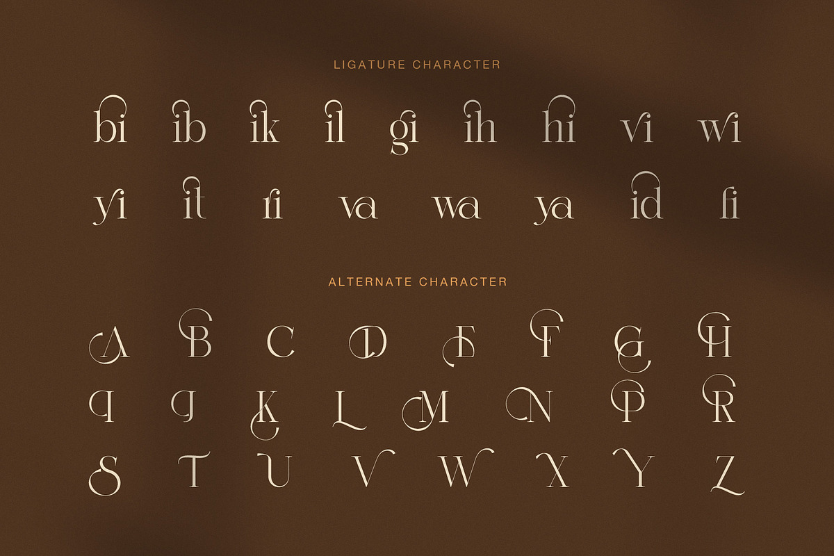 Amida Elegant Display Serif Font, a Serif Font by Graphicxell (Photo 8 of 8)
