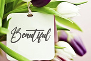Bist, a Handwritten Font by FreshTypeINK (Thumbnail 5 of 6)