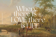 Quinek Elegant Serif, a Serif Font by Brandear Design (Thumbnail 12 of 16)