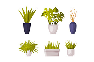 Decorative Houseplants in Pot and, an Object Illustration by TopVectors