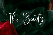 Cinthia Bloom: Elegant Font, a Handwritten Font by Jogiia Digital (Thumbnail 5 of 5)