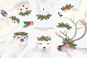 ARCTIC ANIMALS watercolor set PART 1, an Animal Illustration by Natali Smolova (Thumbnail 4 of 7)