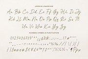Allura Signature - Handwritten Font, a Script Font by Ainun Jinan (Thumbnail 9 of 9)